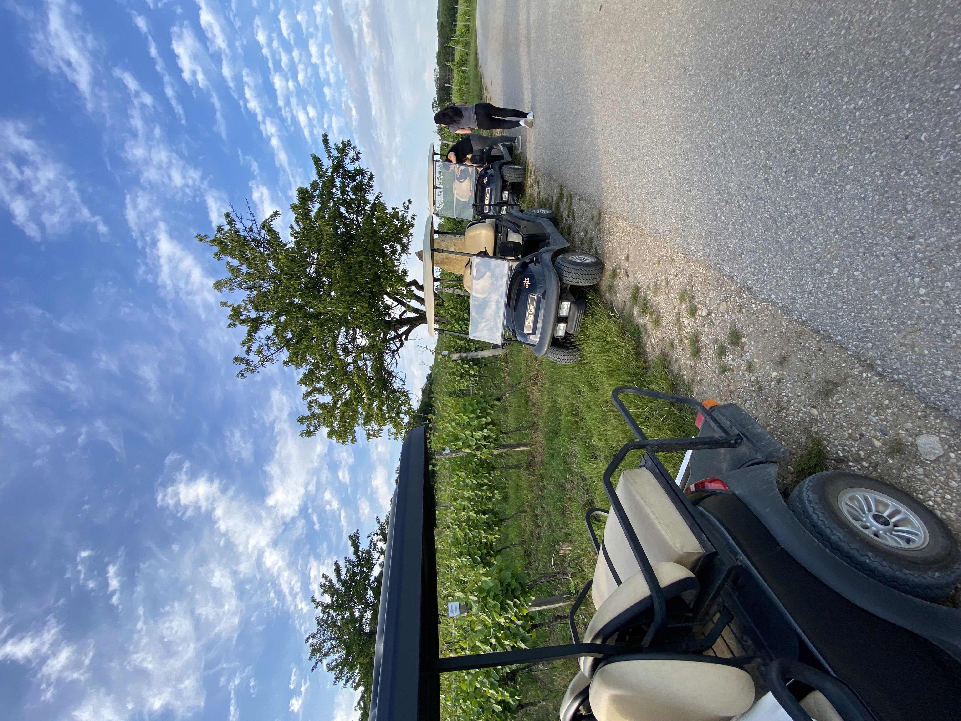 Golf Car Erlebnisbericht