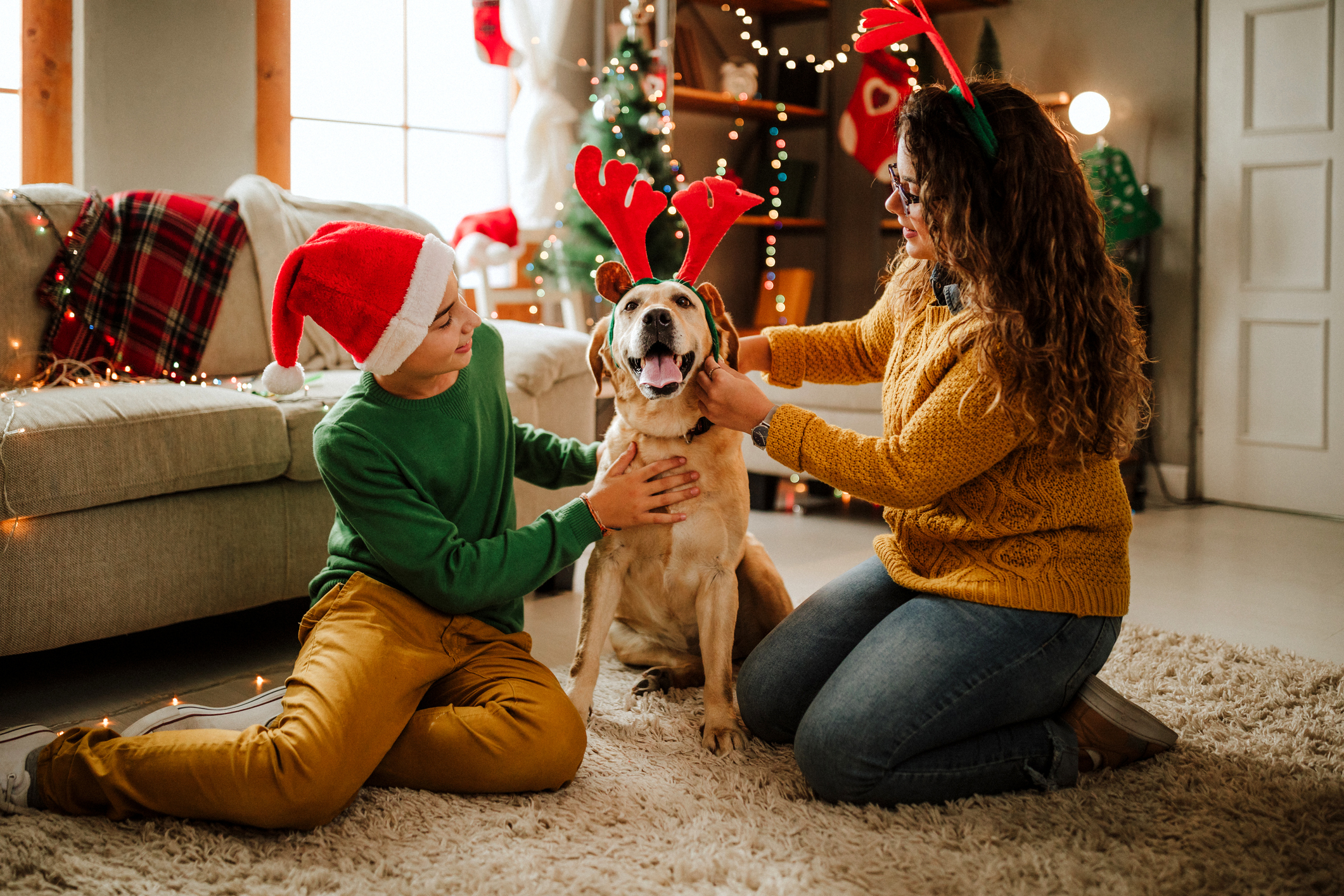 Adventkalender Gewinnspiel | Schneetour mit Schlittenfahrt