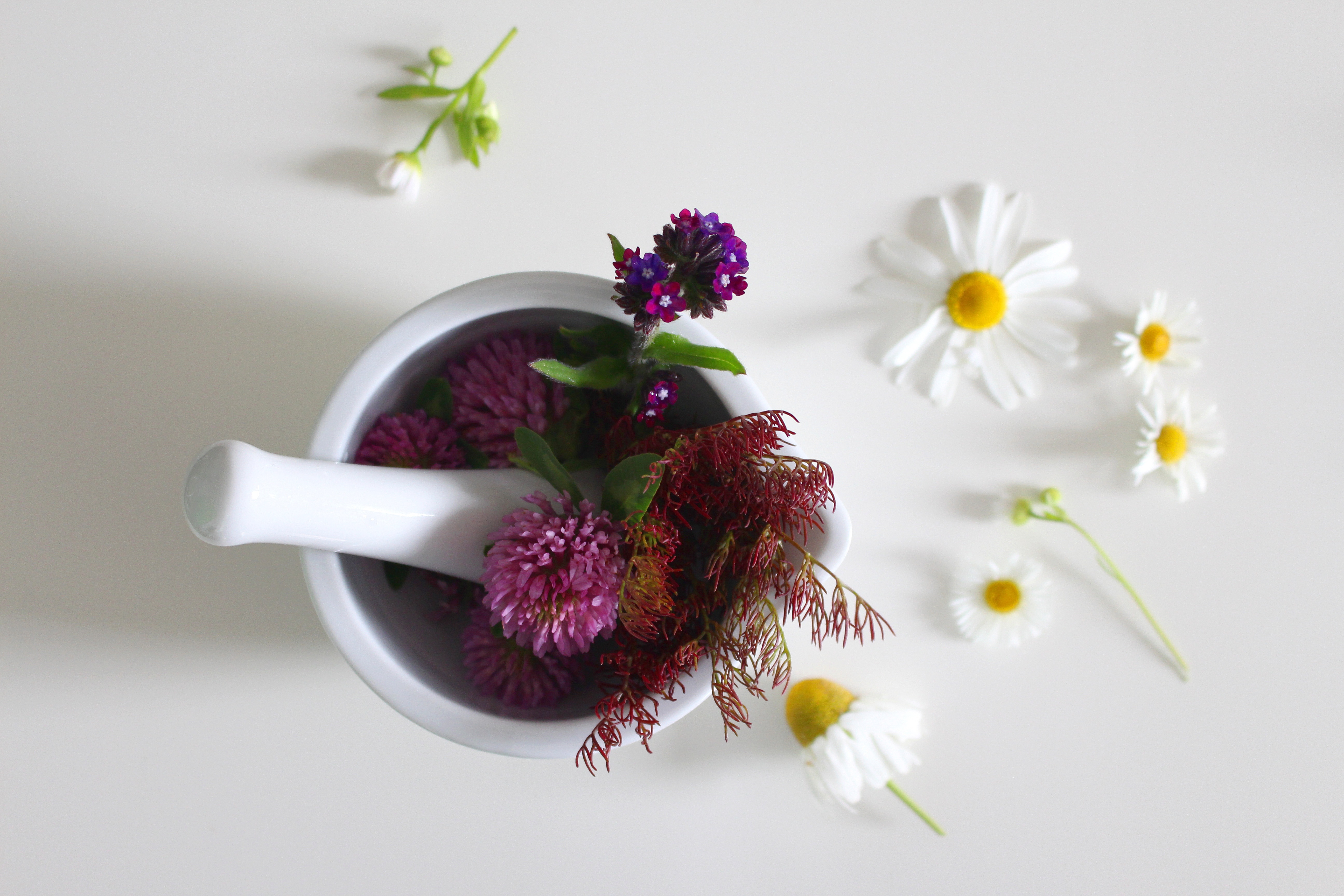 Kosmetik Workshop, natürlich schön - Naturkosmetik selber herstellen