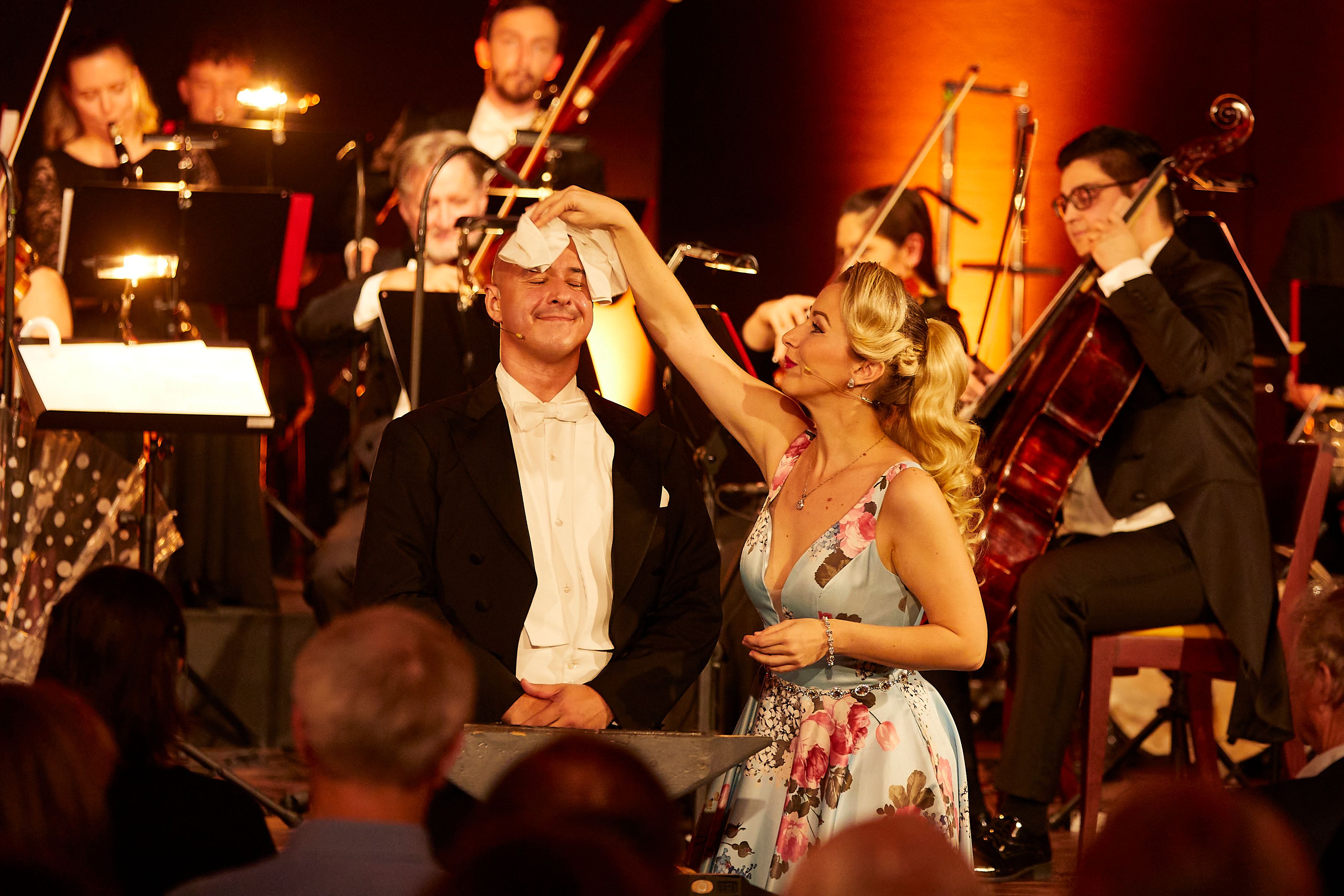 Strauss Dinner Show - Ticket in der Premium Loge