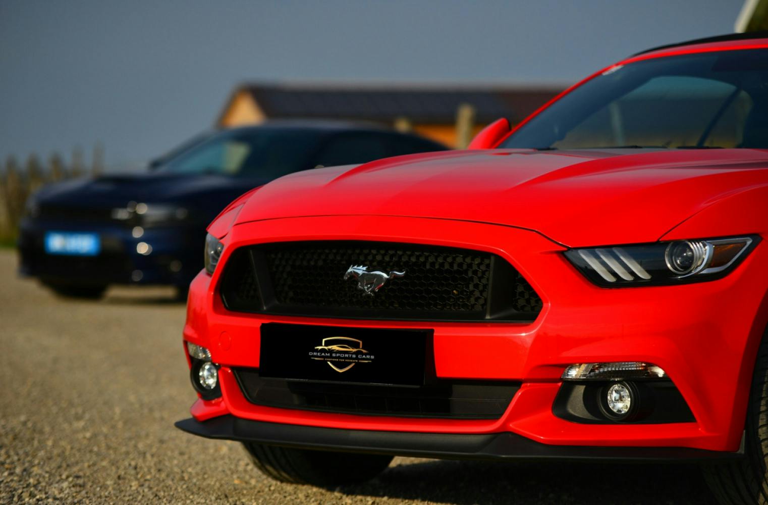 Ford Mustang selber fahren | 8 Stunden | 250 Freikilometer