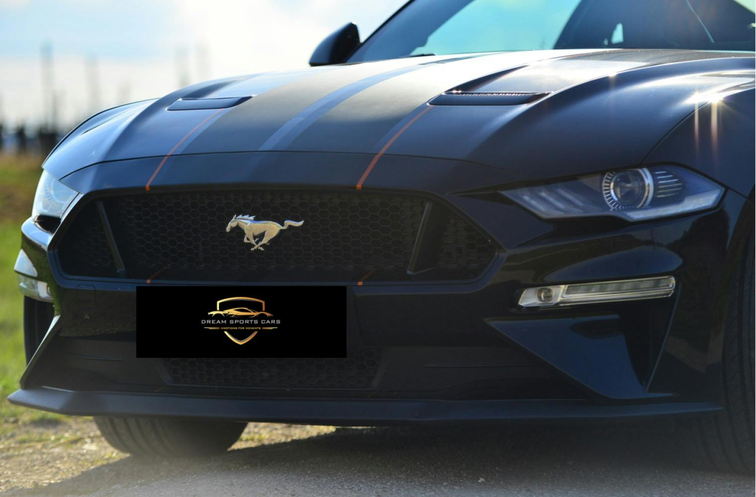 Ford Mustang GT | selber fahren | 4 Stunden | 150 Frei-km