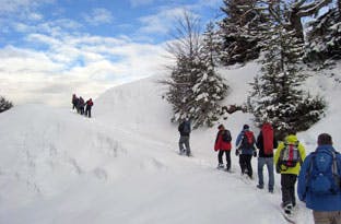 Schneeschuhwandern | leichte Tour in voralpinem Gebiet