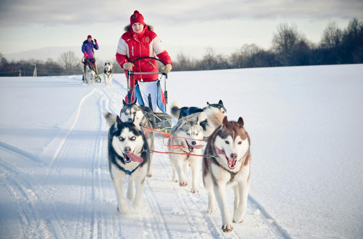Husky Camp | Hundeschlitten-Fahrt und Schneeschuhwanderung