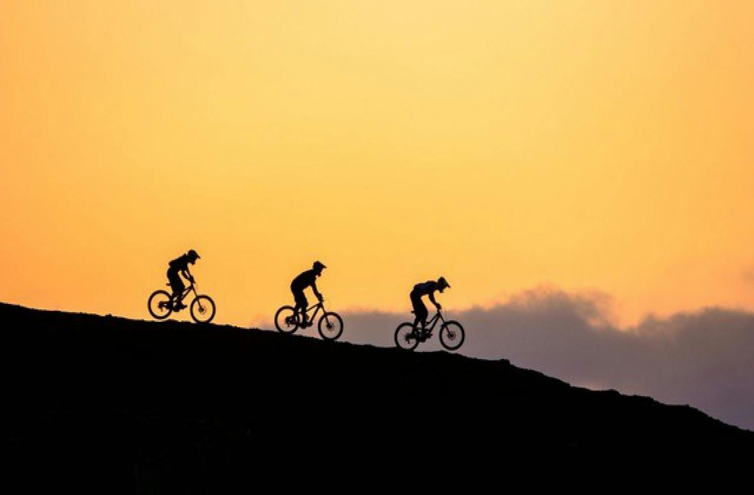 Mountainbike in der Gruppe | Technik-Coaching & Tour