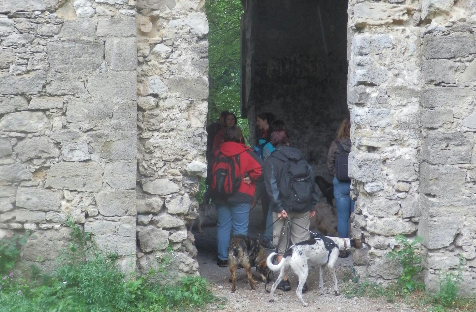 Pfoten-Krimi: Eine Schnitzeljagd mit Hund