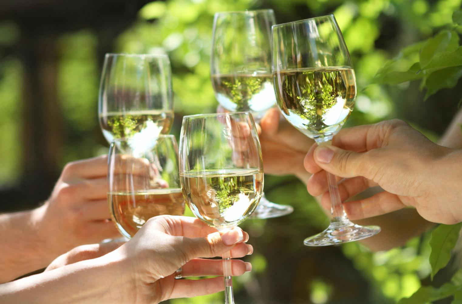 Weinverkostung in Privatvilla | 8 erstklassige Weine 