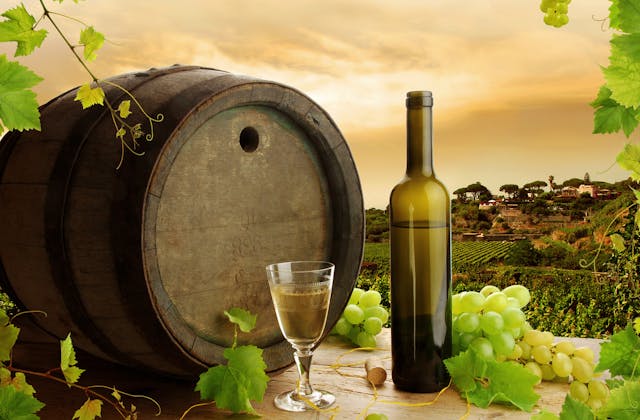 Weinschnuppertag | Weinprobe am Gut | Degustationsmenü