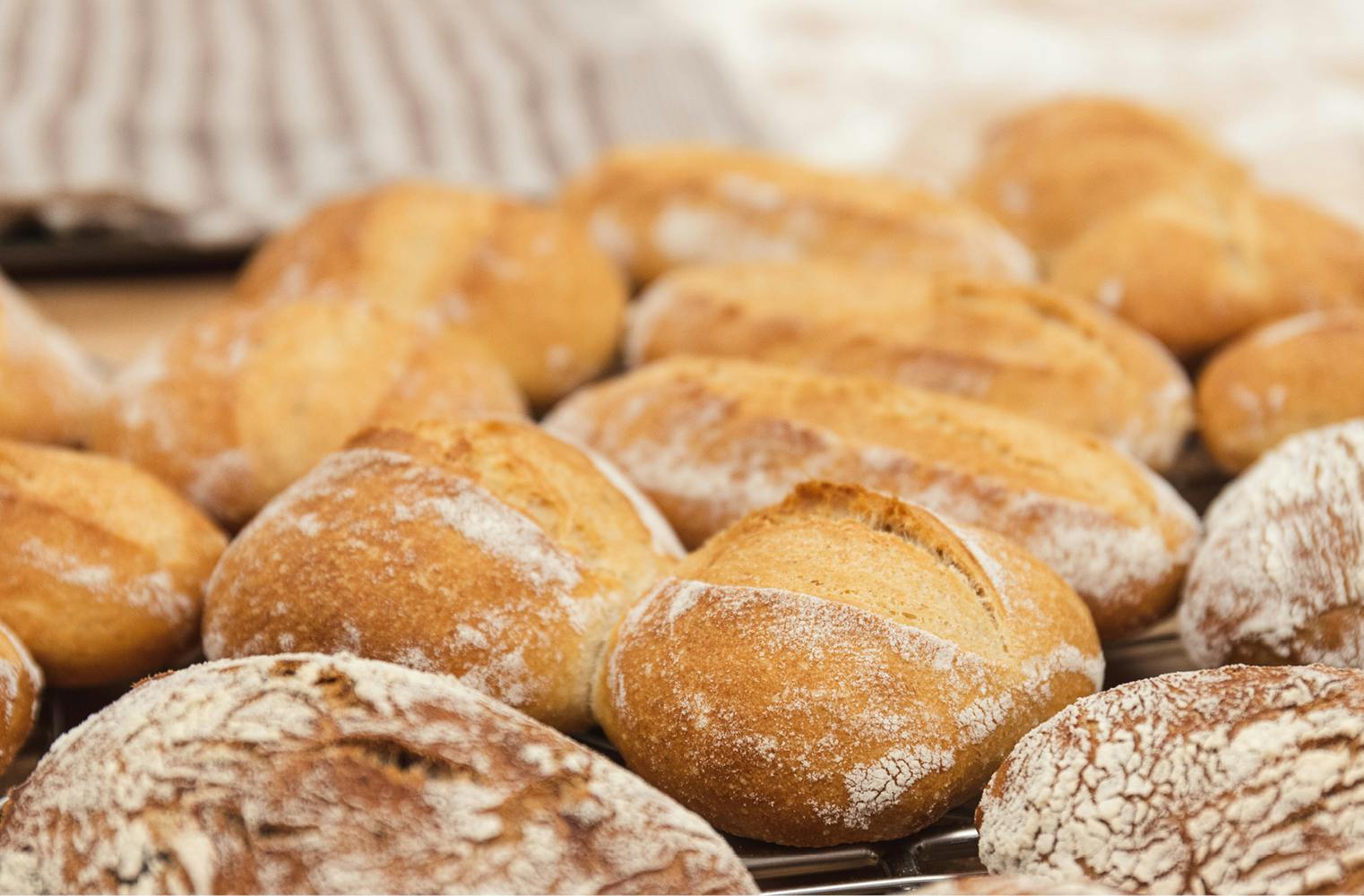 Brotbacken Basics | Backkurs mit Lutz Geißler