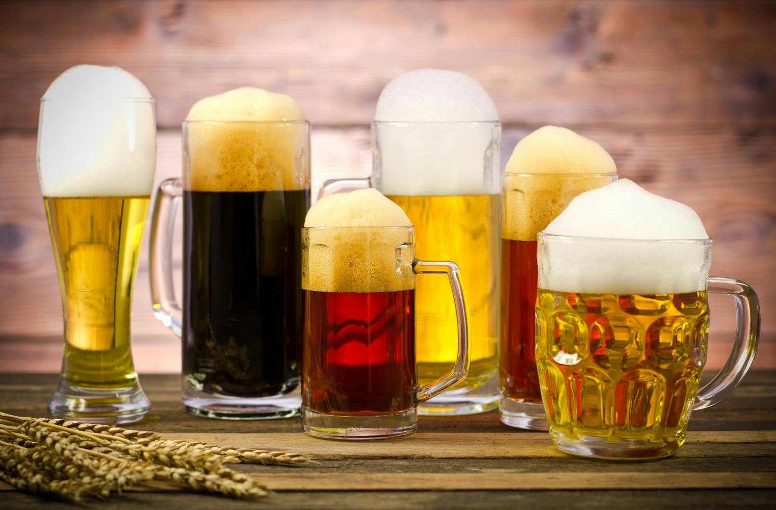 Craft Beer Tasting | Verkostung von Bieren | Wien