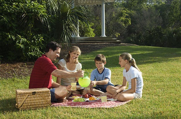 Picknick für zwei | mit Gourmet-Korb im Lainzer Tiergarten