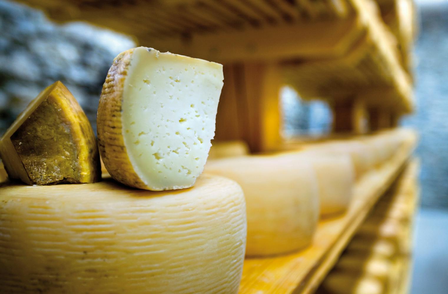 Käse-Tasting | Online-Seminar mit Genussbox zum Verkosten