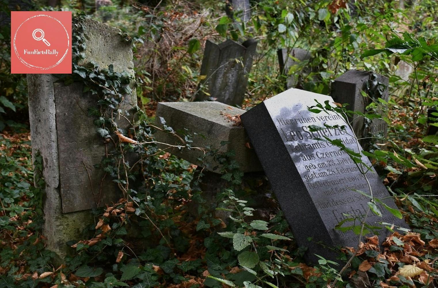 Der Wiener Zentralfriedhof | Schaurig schöne Rätselrallye