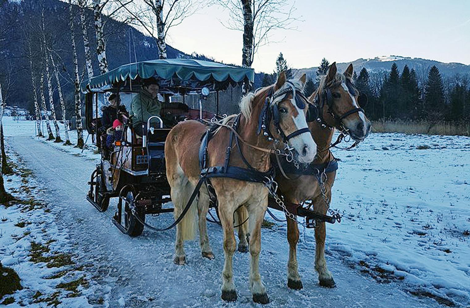 Pferdeschlittenfahrt | winterliches Picknick | 2 Personen